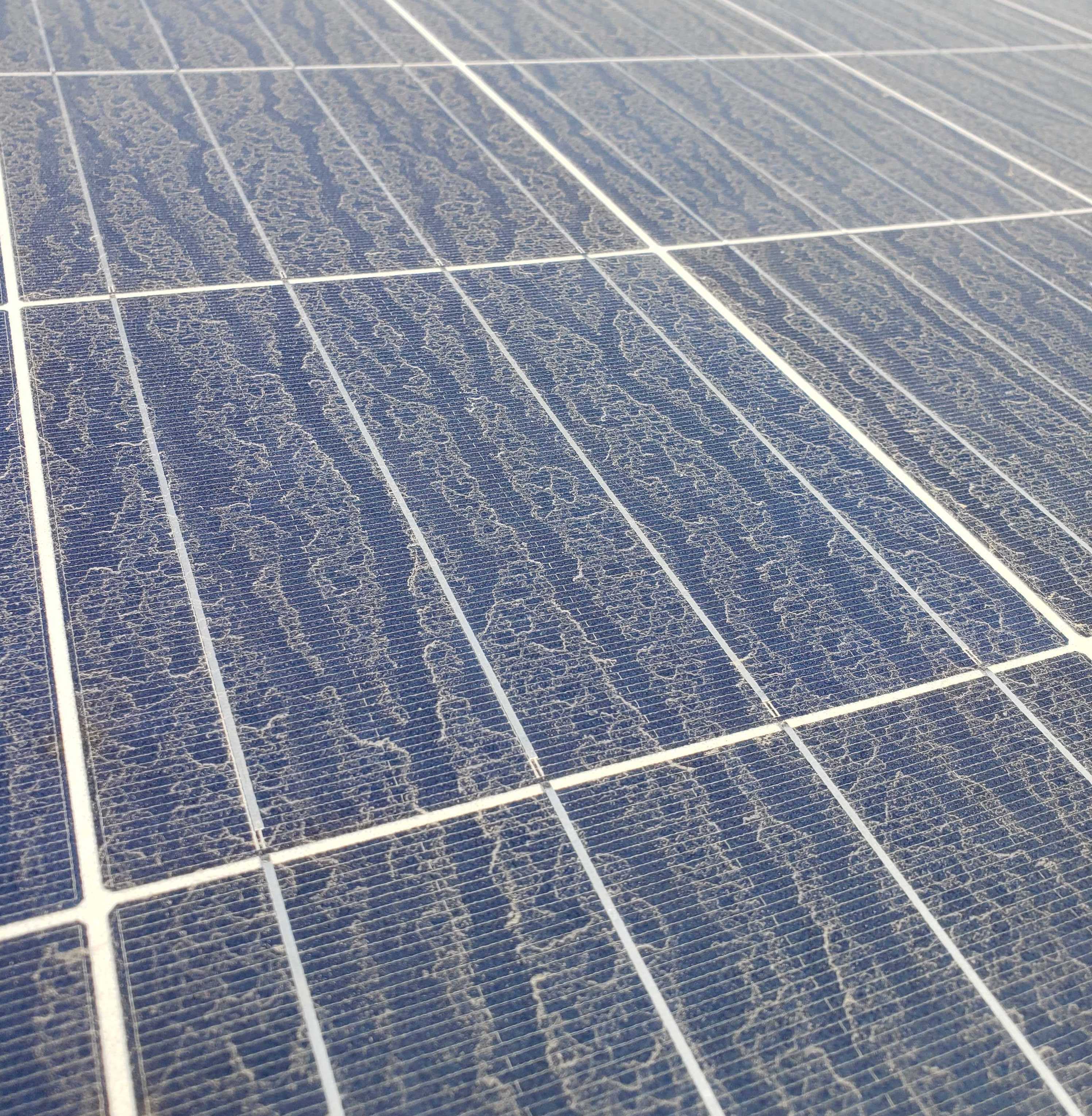 Dust-covered solar panels near the coast
